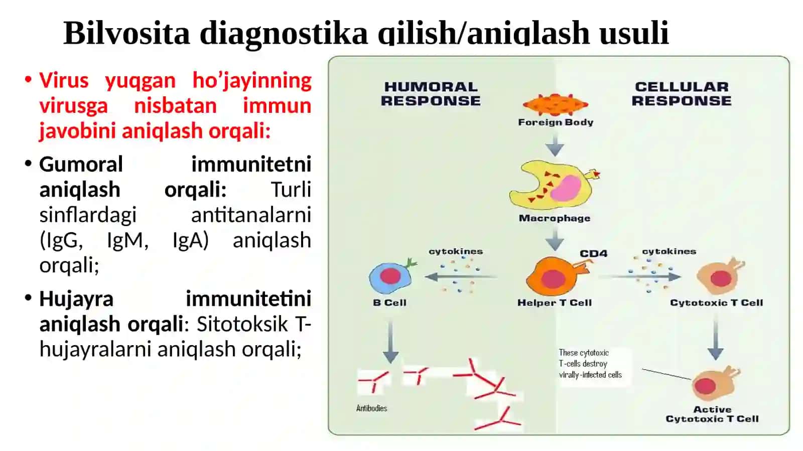 VIRUSLAR DIAGNOSTIKASI 4