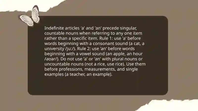Definite and Indefinite Articles 4