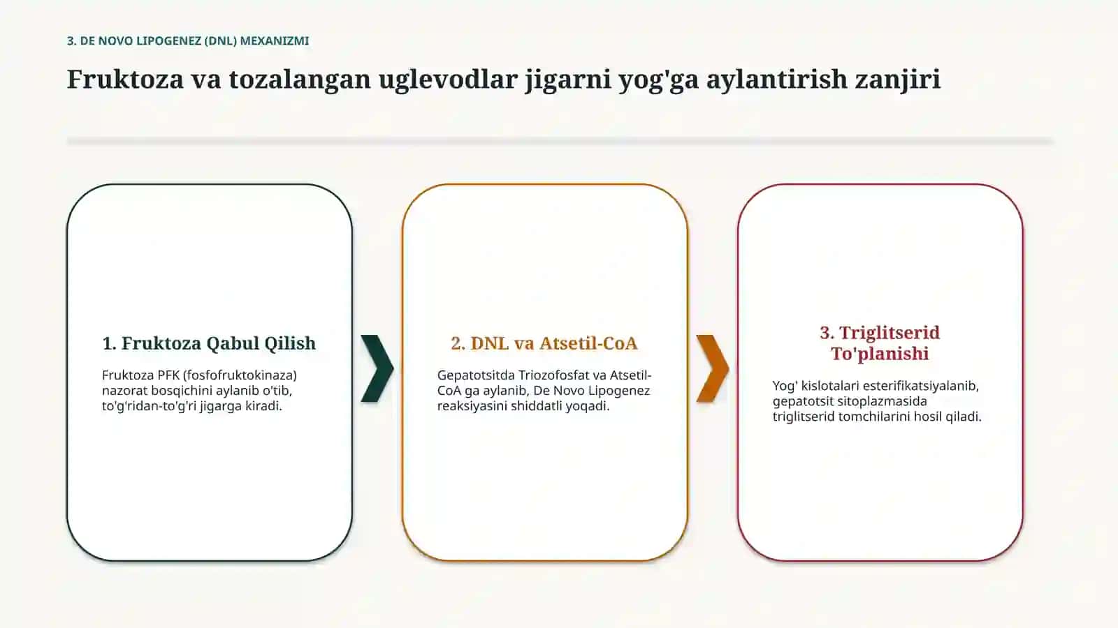 Ovqatlanish buzilishi va jigar patologiyasi — 15 slayd 4