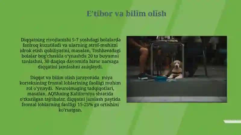 Eʼtiborning buzilishi 4