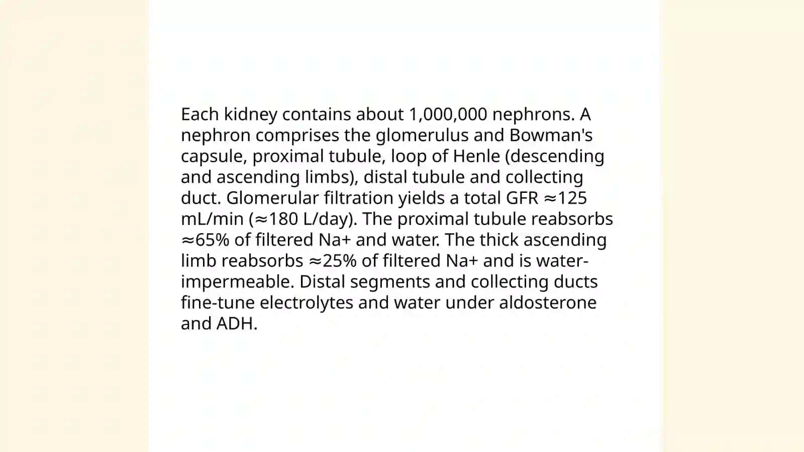 Urinary System 4