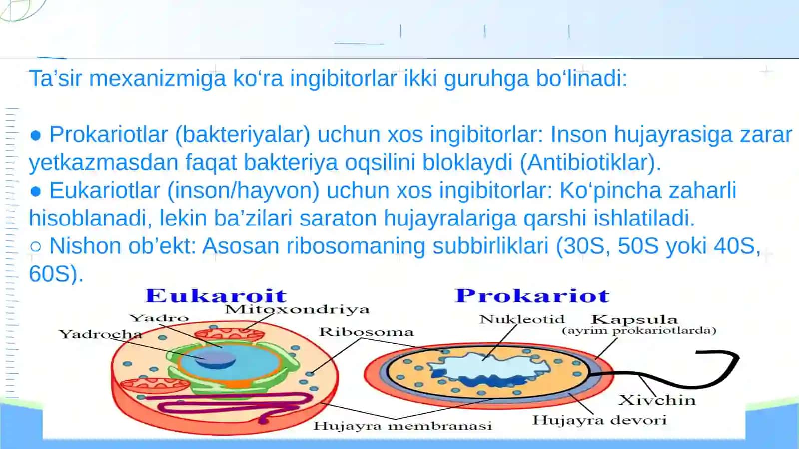 Oqsil biosintezi ingibitorlari. Genlar ta'sirini boshqarilishi, xujayra differensirovkasi. Sitoxrom P-450 induktorlari va ingibitorlarini klinikada qo 'llanilishi 4