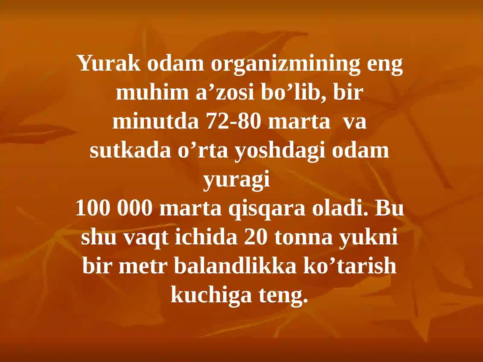 YURAK ANATOMIYASI 4