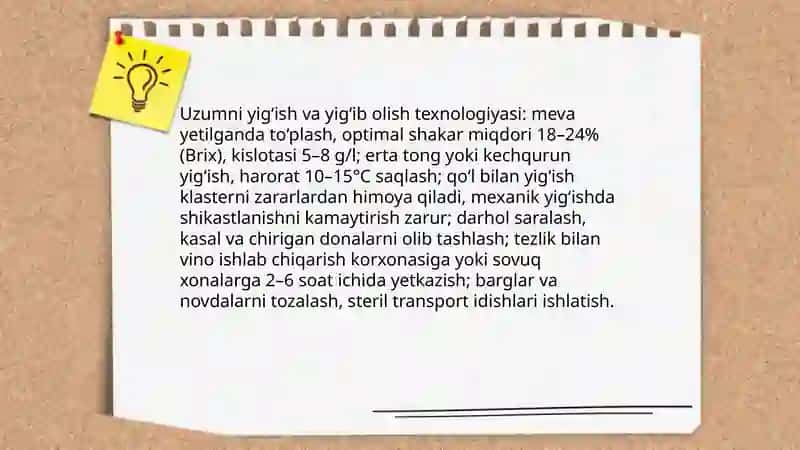 Sharob tayyorlash texnologiyasi 4
