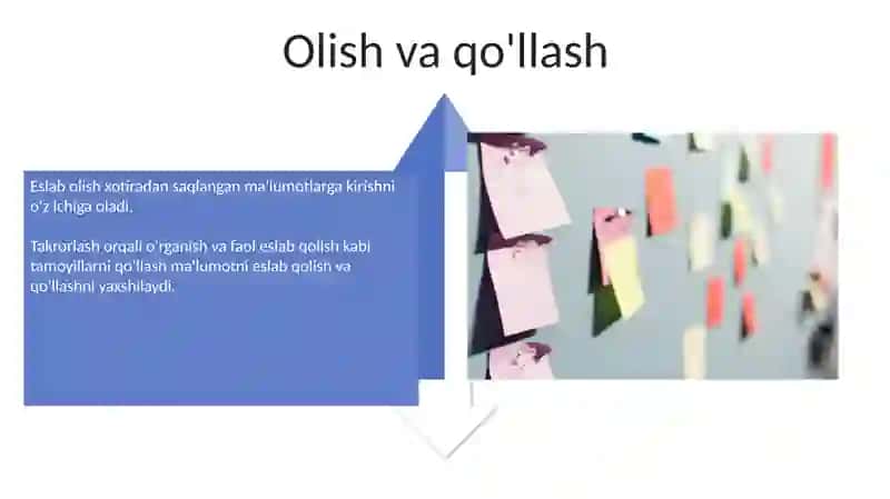 Talim jarayoning qonuniyatlari va tamoyillari 4