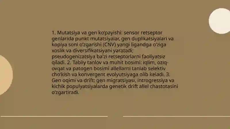 Sezgi turlari va uning qonuniyatlari mavzu 4