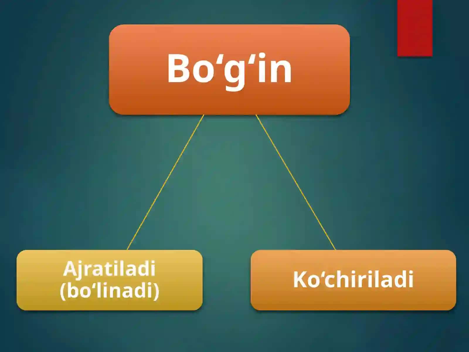 Bo‘g‘invauningahamiyati 4