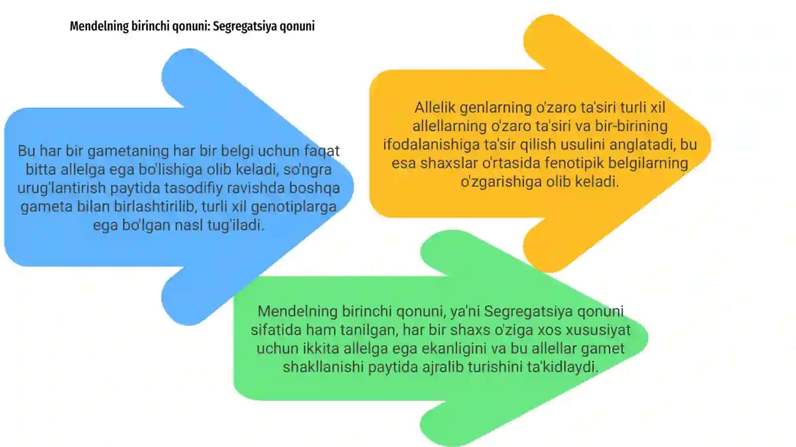 Allel genlarning o’zaro tasiri 4