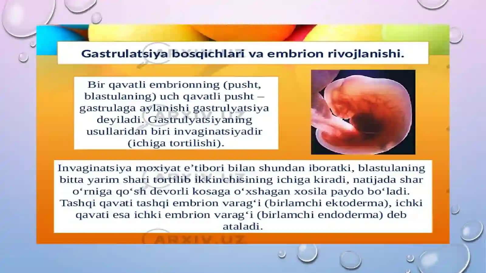 Gastrulyatsiya, O‘q Organlari va Provezor Organlarining Hosil Bo‘lishi 4