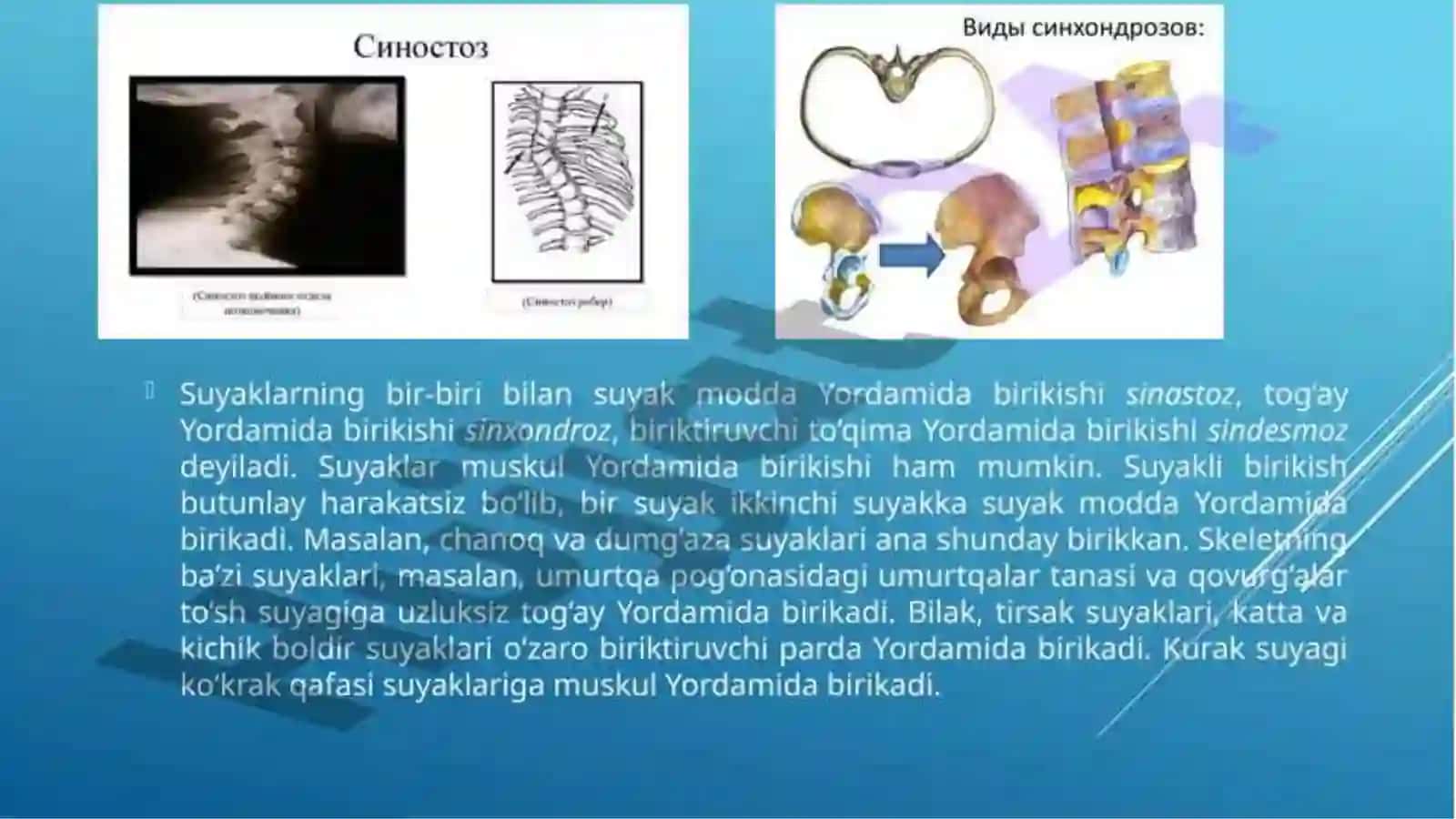 Koʻp Tarmoqli Tibbiyot Texnikumi 4