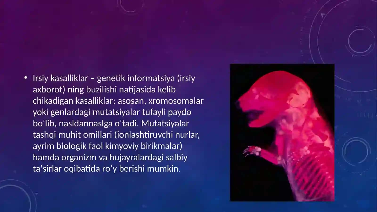 Hayvonlar patofiziologiyasi fanidan mustaqil ta'limi ishi 4