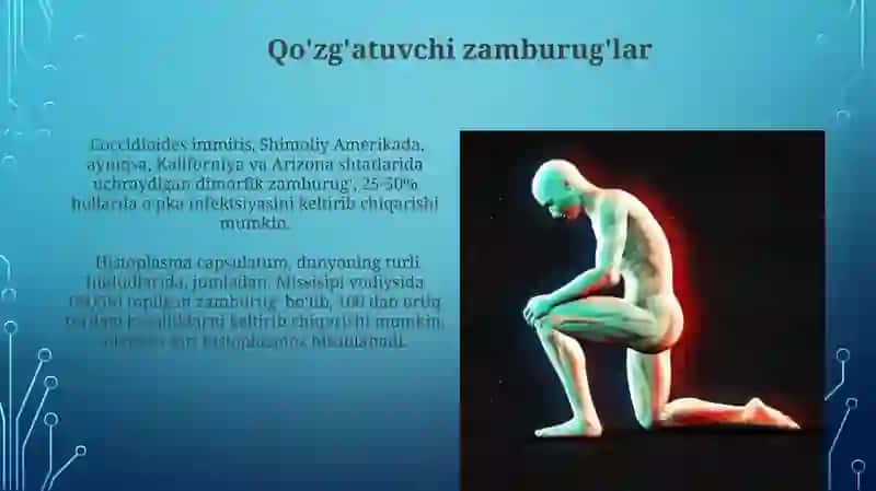 Chuqur mikozlar 4