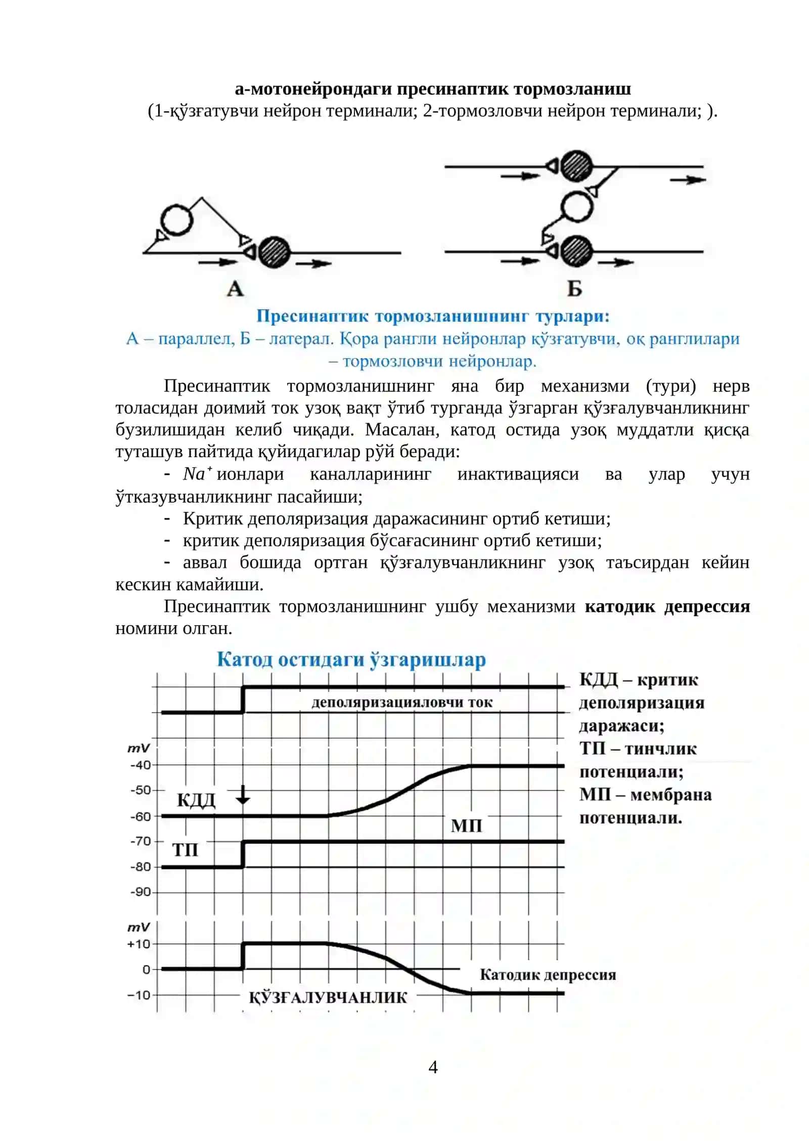 МНТДАГИ ТОРМОЗЛАНИШ ЖАРАЁНЛАРИГА БАҒИШЛАНГАН МАТЕРИАЛ 4
