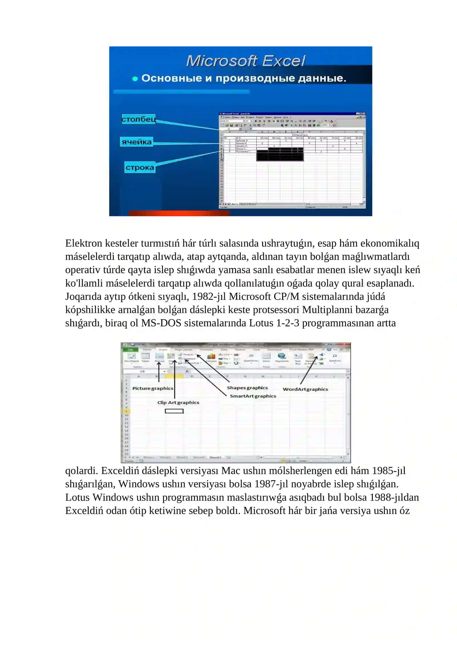 MS Excel elektron keste programmasi 4