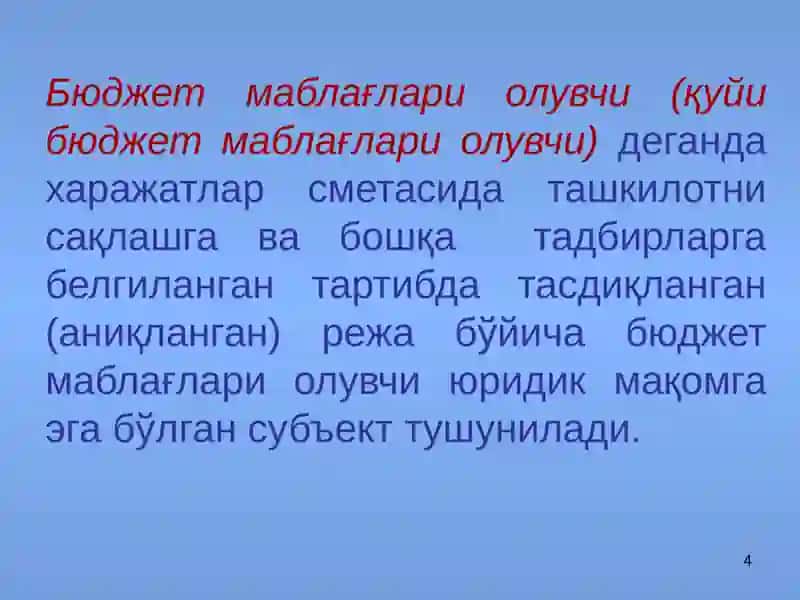 Бюджет ташкилотларининг бюджетдан ташқари жамғармалари 4