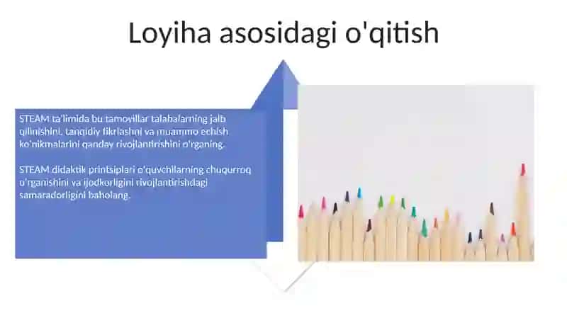 STEAM texnologiyasini oʻqitishning didaktik tamoyillarini oʻrganish va tahlil qilish 4