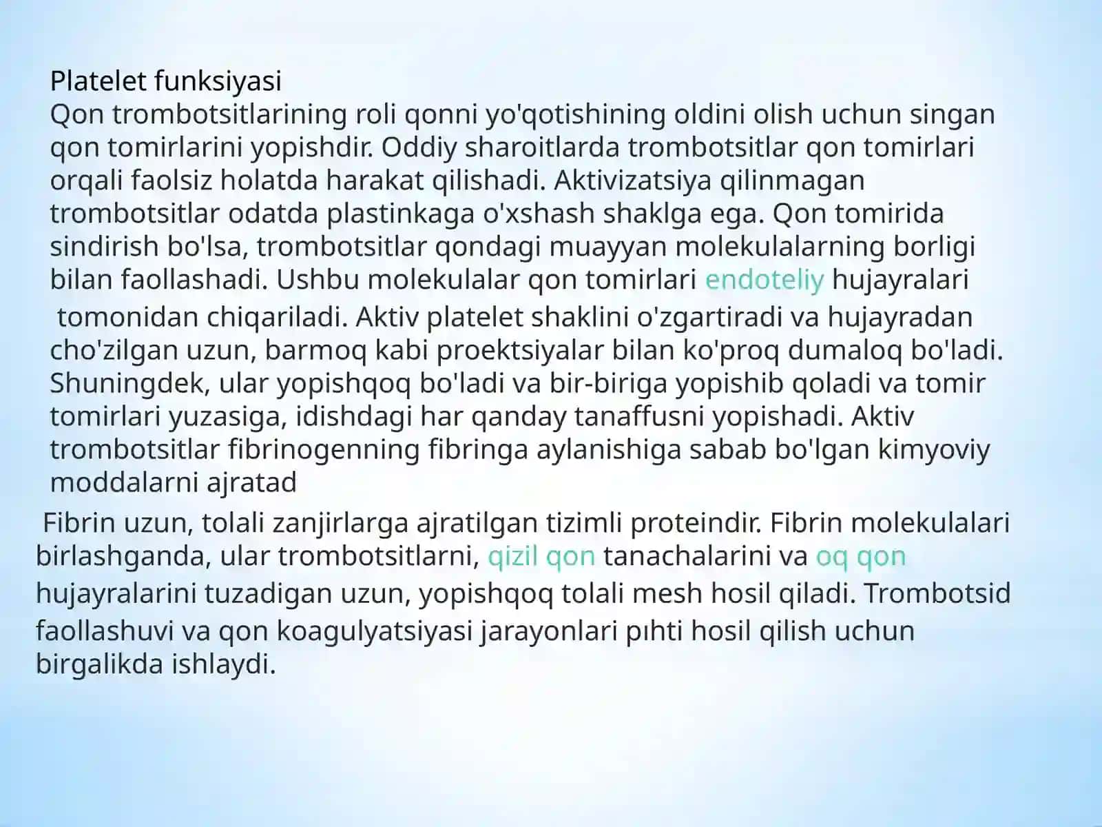 TROBOSITLAR 4