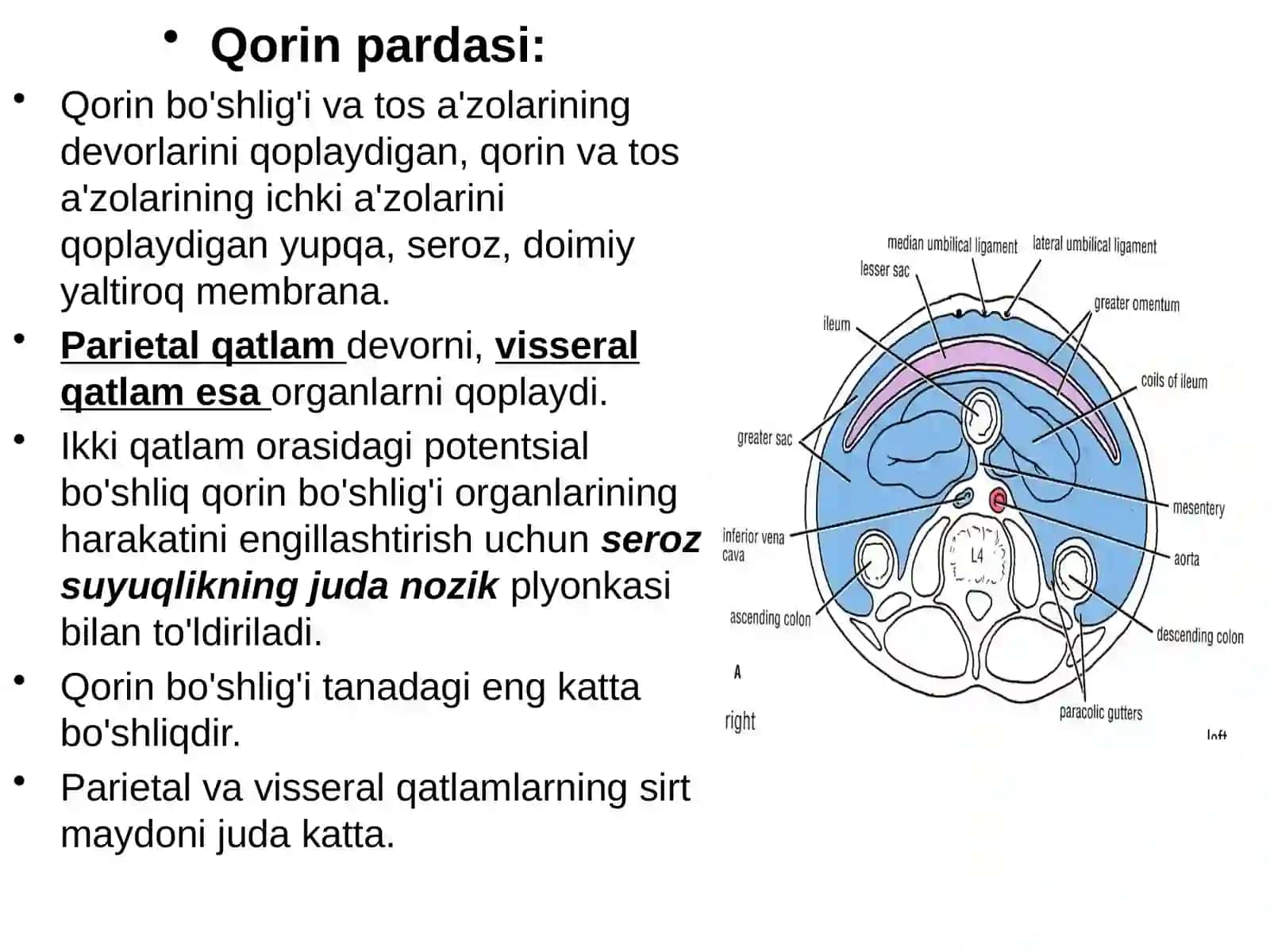 qorin parda 4