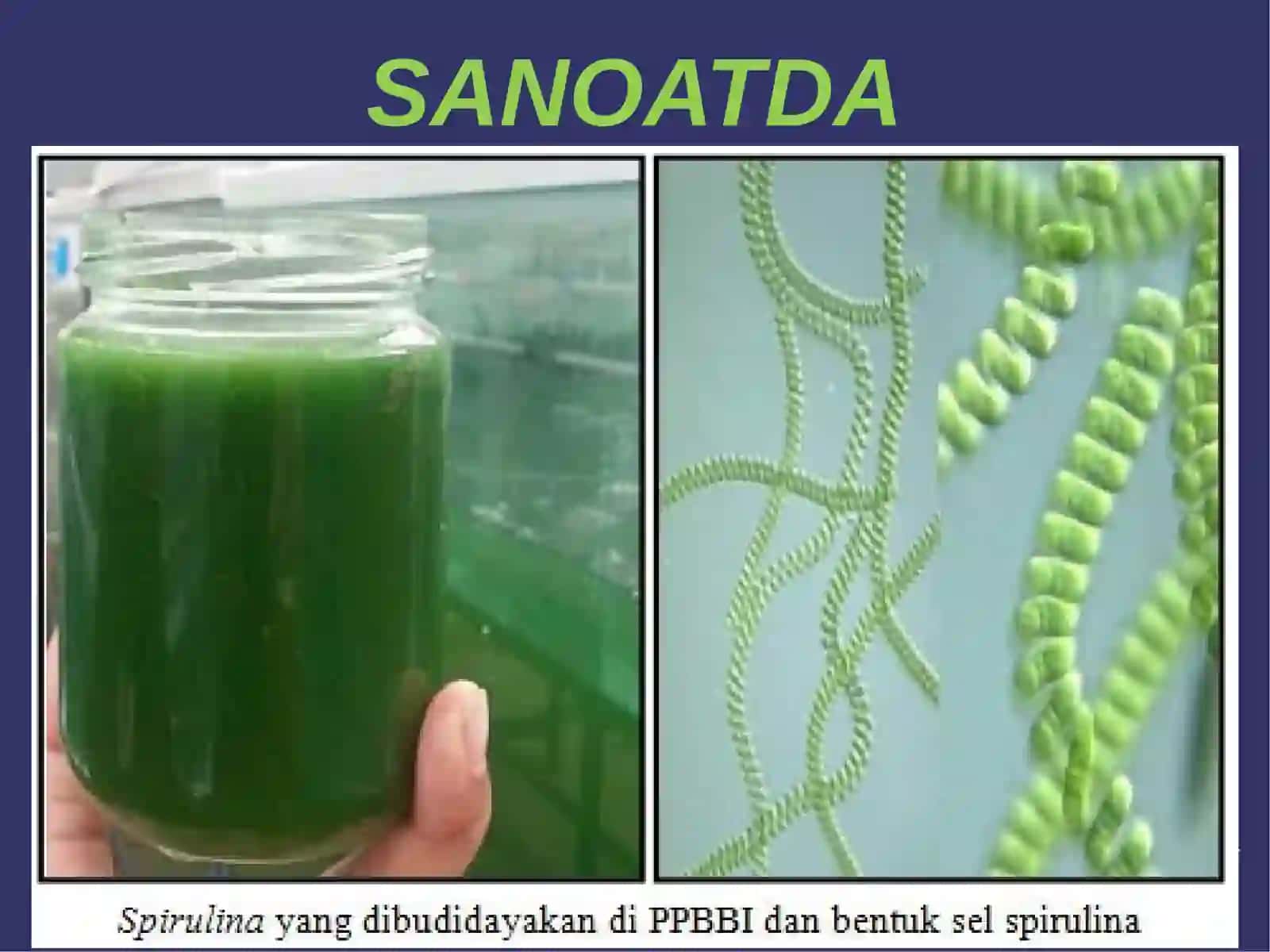 BIOTEXNOLOGIYADA 4