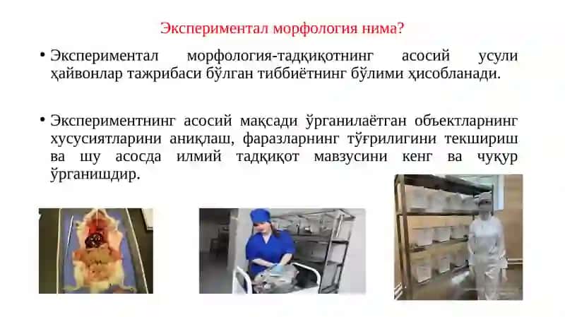 Тиббиёт нима? 4