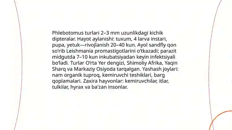 Leyshmanioz teri va visseral shakli 4
