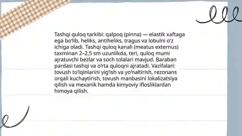 Eshituv va muvozanat azolari 4