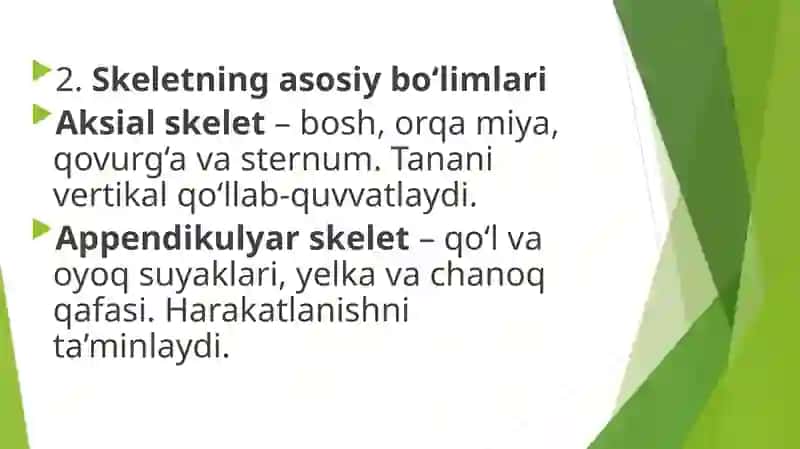 Odam skeleti bo’limlari 4