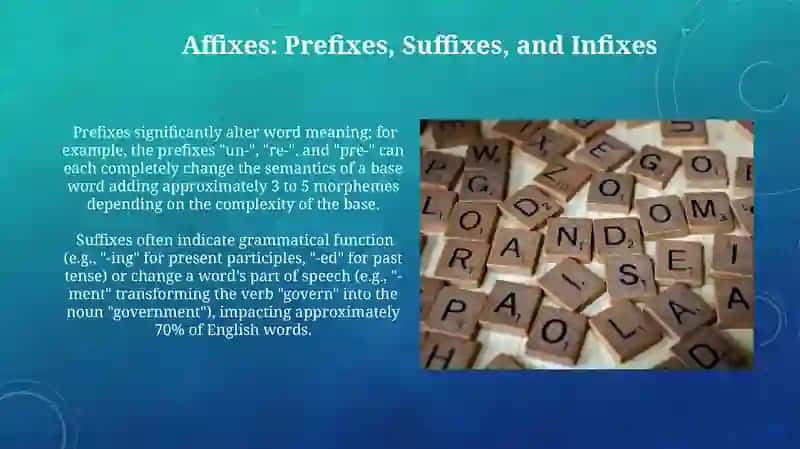 Morphology structure of the English words 4