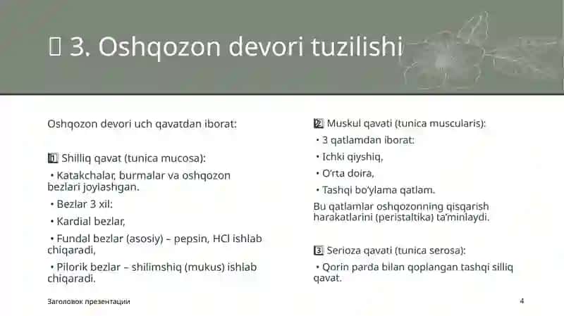 OshqozonAnatomiyasi 4