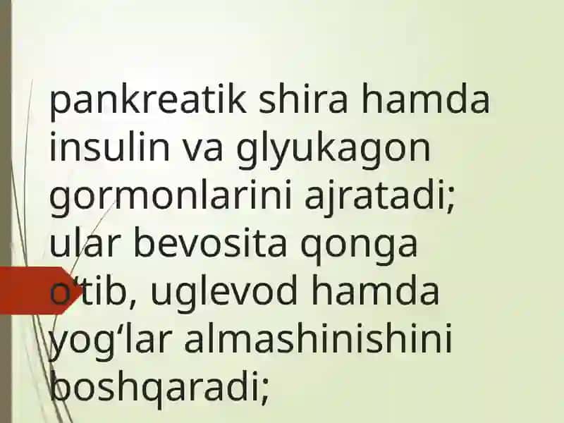 Me'da osti va buyrak usti bezlari fiziologiyasi 4