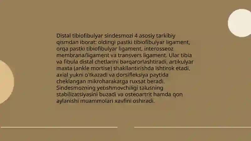 Sindesmologiya oyoq va qol soxalari 4