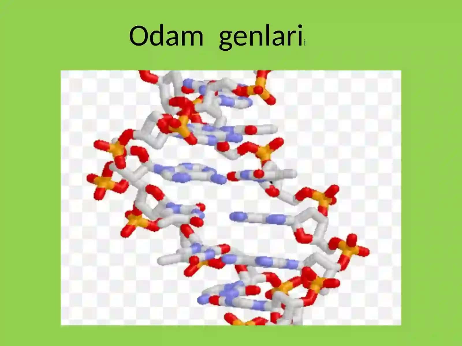 Odamlar genetikasi va tibbi genetika 4