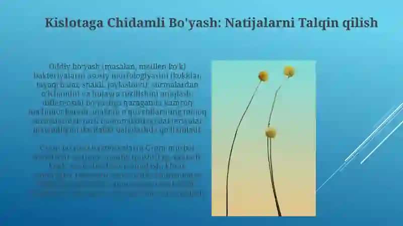 Oddiy va Differensial bo‘yash 4