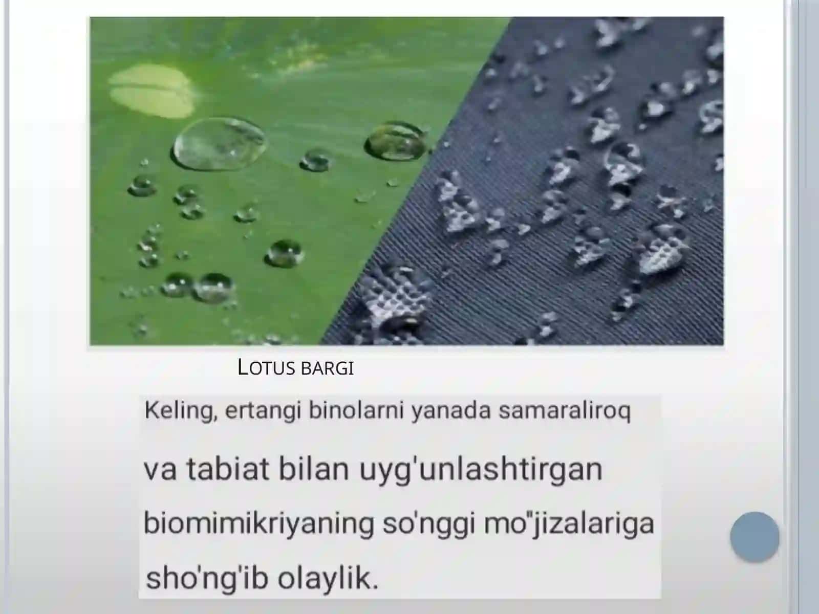 Biyomimetik materiallardizayni: tabiiy tuzilmalar va jarayonlardan ilhomlangan o'rganish materiallari, masalan lotus yoki o'rgimchak iplarining xususiyatlarini taqlid qiluvchi materiallar 4