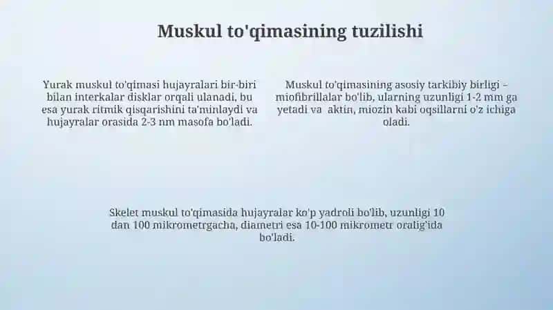 Nerv to'qimalarining strukturasi 4