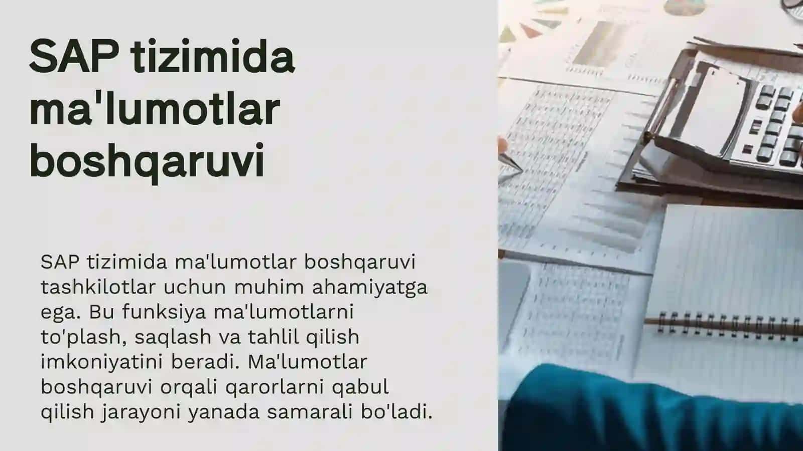 SAP Tizimi 4