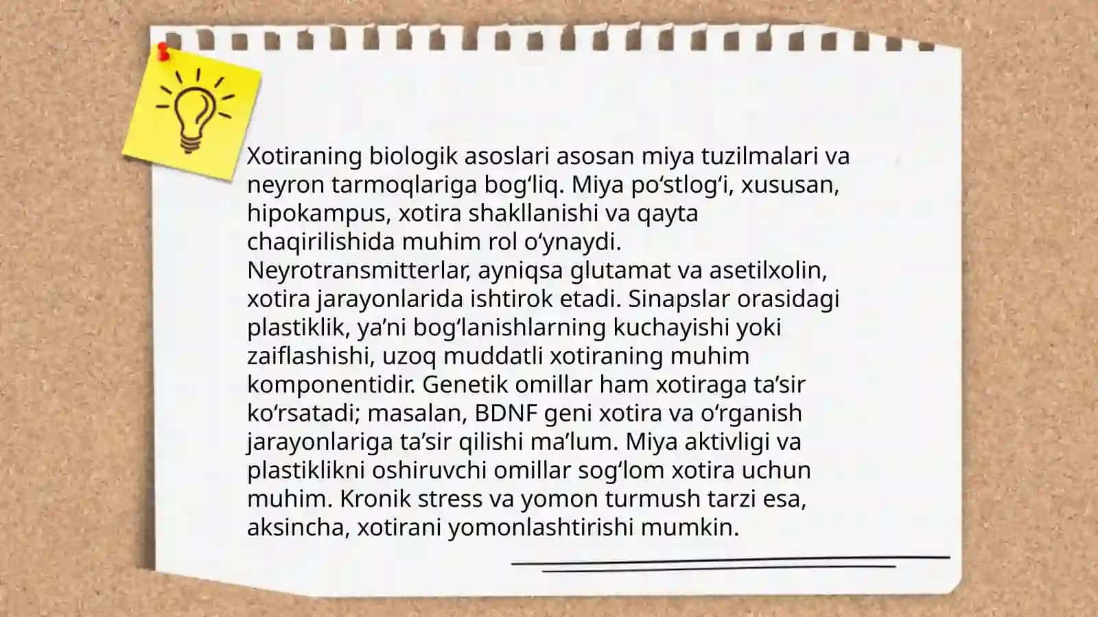 Inson xotirasi boʻyicha taqdimot 4