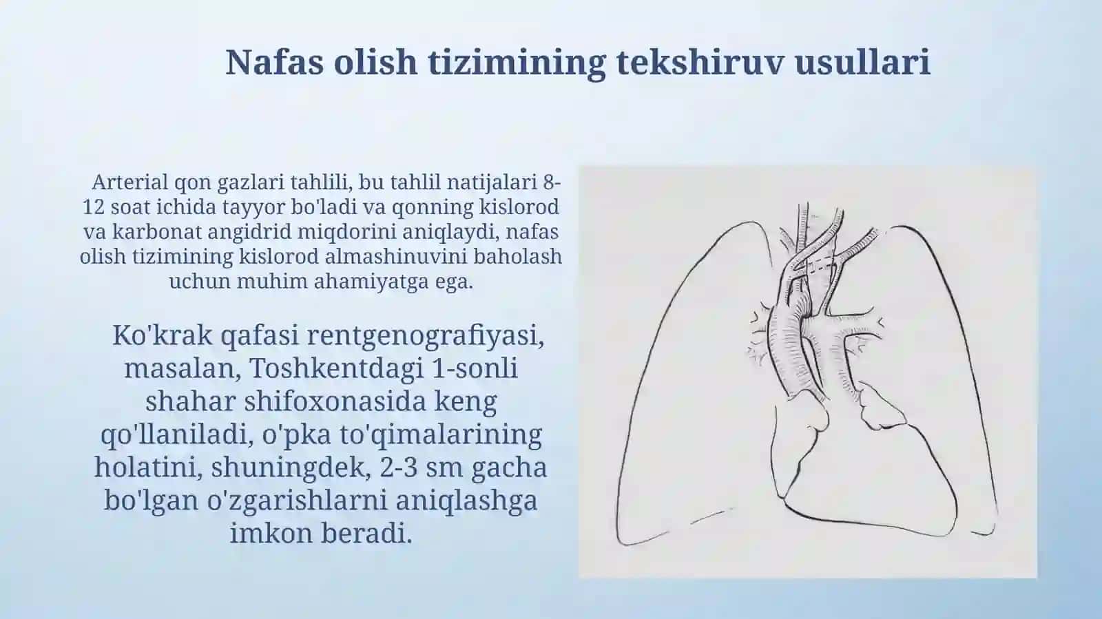 Nafas olish sistemasi haqida umumiy tushunchalar 4