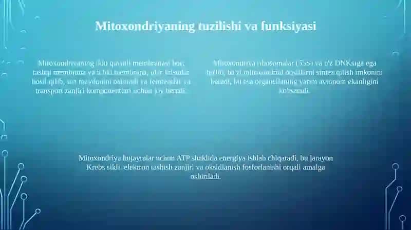 Biologik oksidlanish va mitoxondriya funktsiyasi 4
