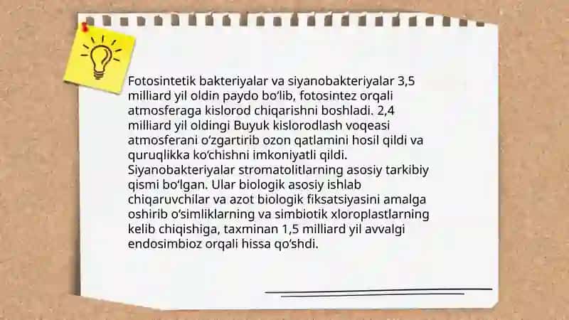 O’simliklar Evolyutsiyasi va Tirik Tabiatning Tarixiy Jarayonida Paydo Bo’lishi 4