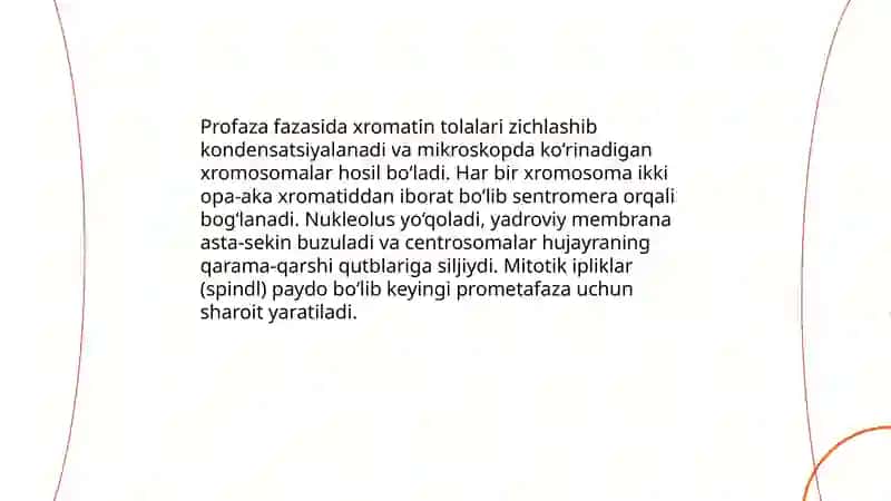 Mitoz 4