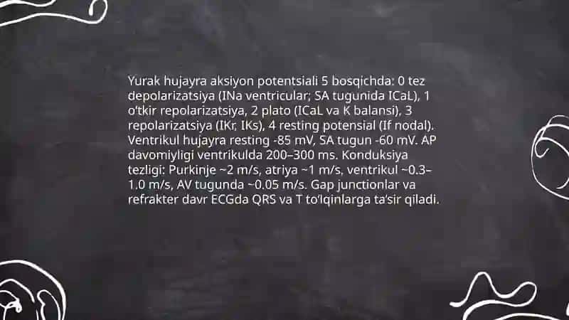 Elektrokordiografiyaning fizikaviy asoslari 4
