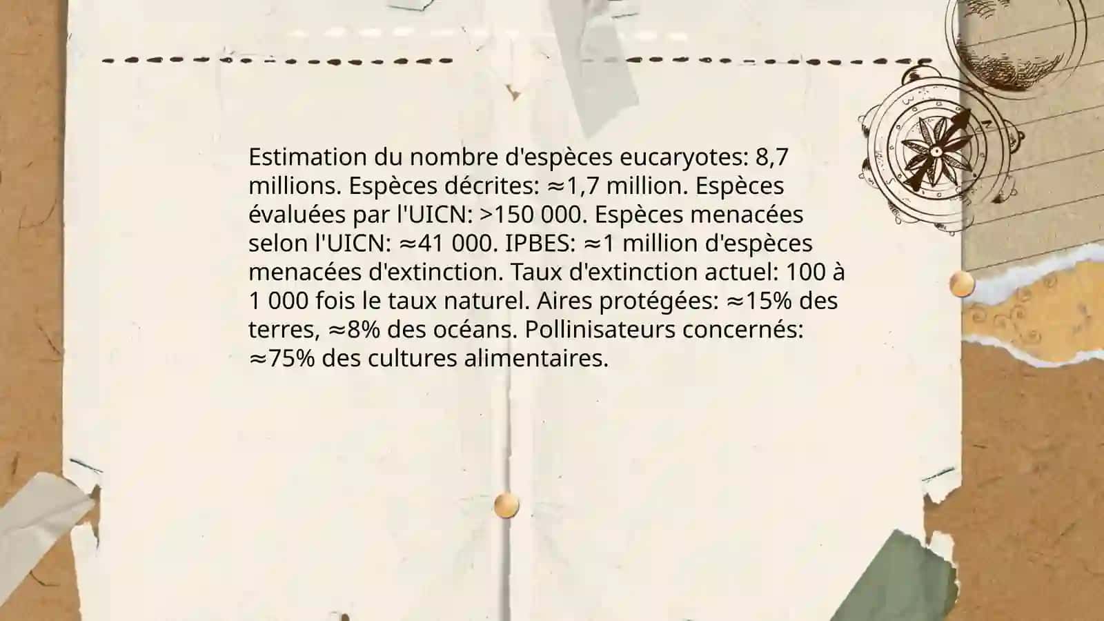 Lʼenvironnement 4