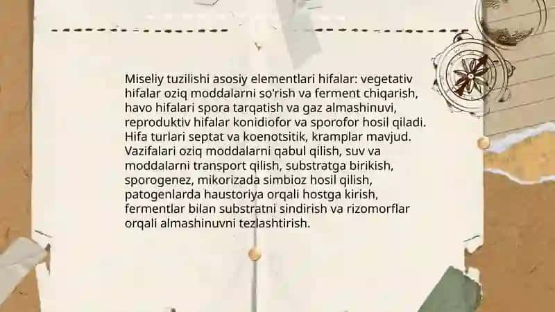 Zamburugʻlar ularning morfologik strukturasi va ularning o'rganish usullari 4