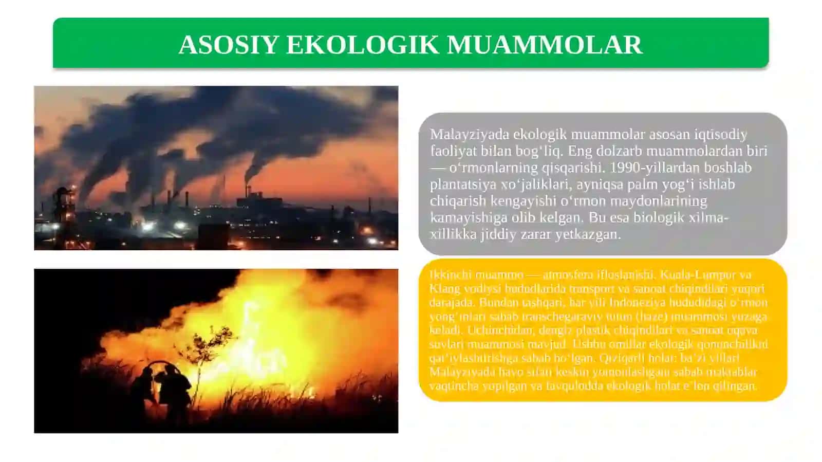 Malayziya Davlatining Ekologiya Huquqi 4