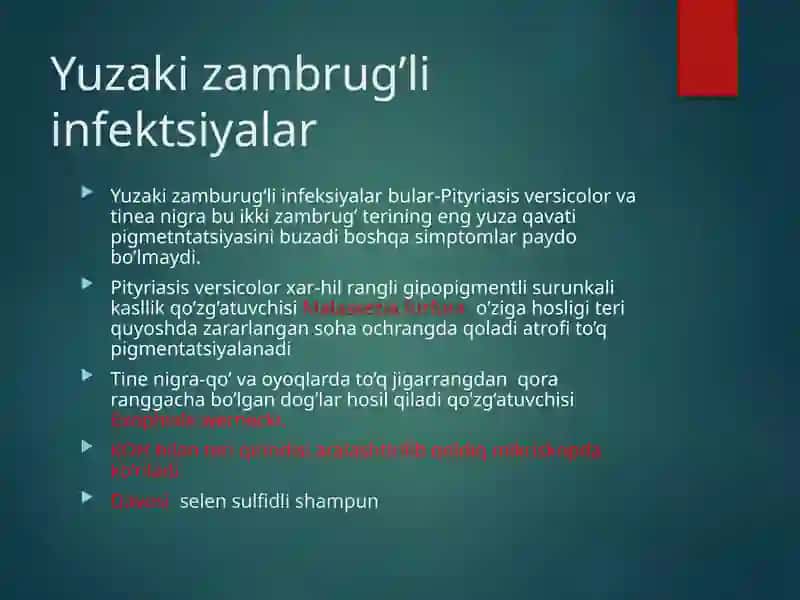 Zambrug’lar umumiy tasnif 4