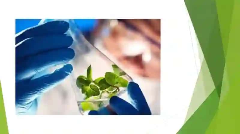 Biotexnologiya 4