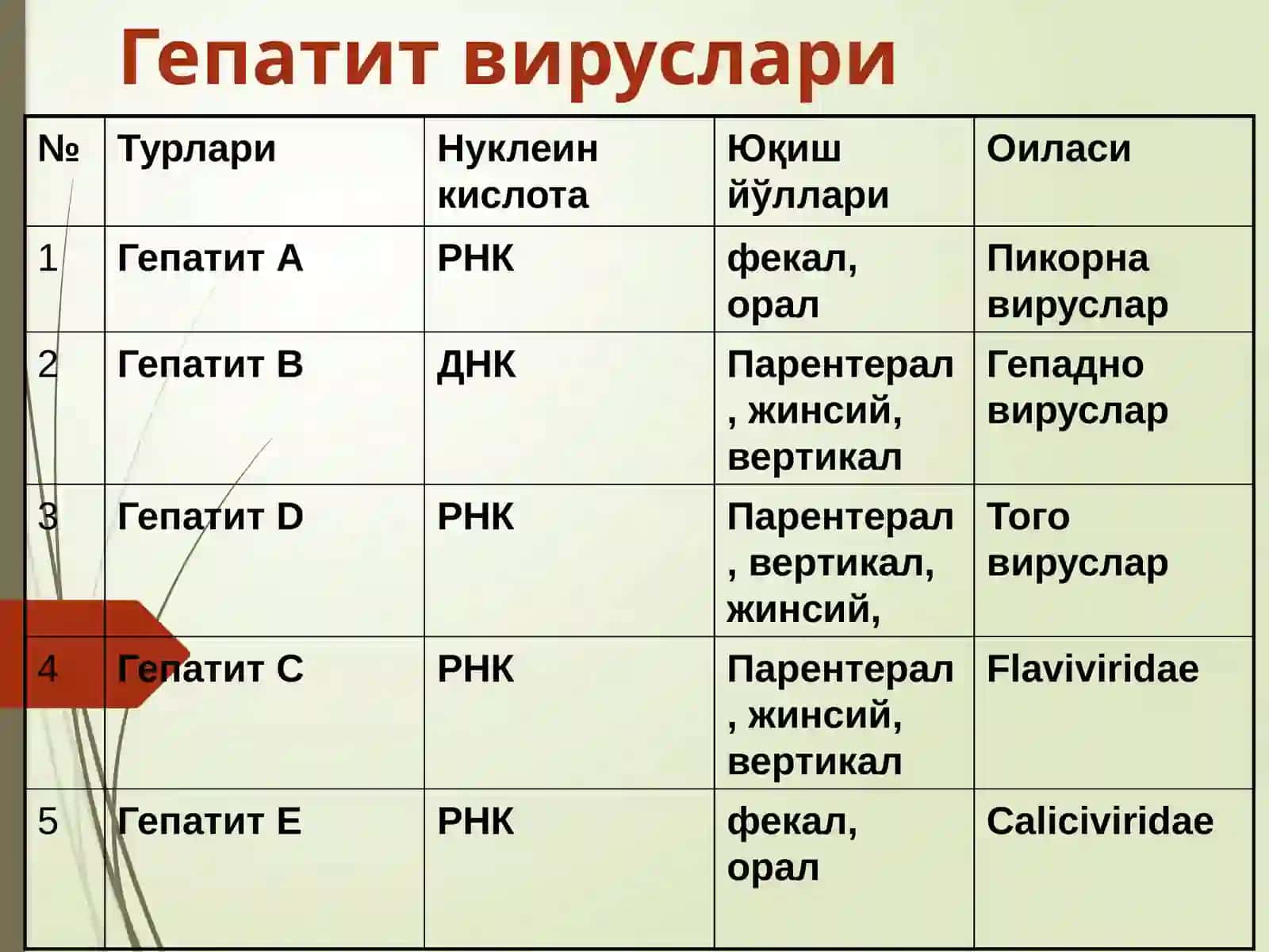 Gepatitlar 4