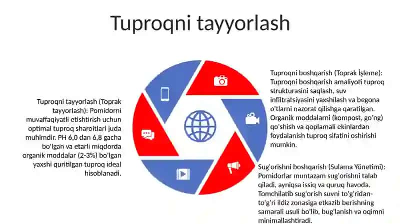 Tamaki Yetishtirish Texnologiyasi 4