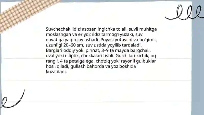 Suvchechak 4